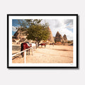 Fine art print of wild horses running through the dusty desert landscape of Cappadocia, Turkey, under a soft sky. Captured by Venturer Studios and presented in a sleek black gallery frame.